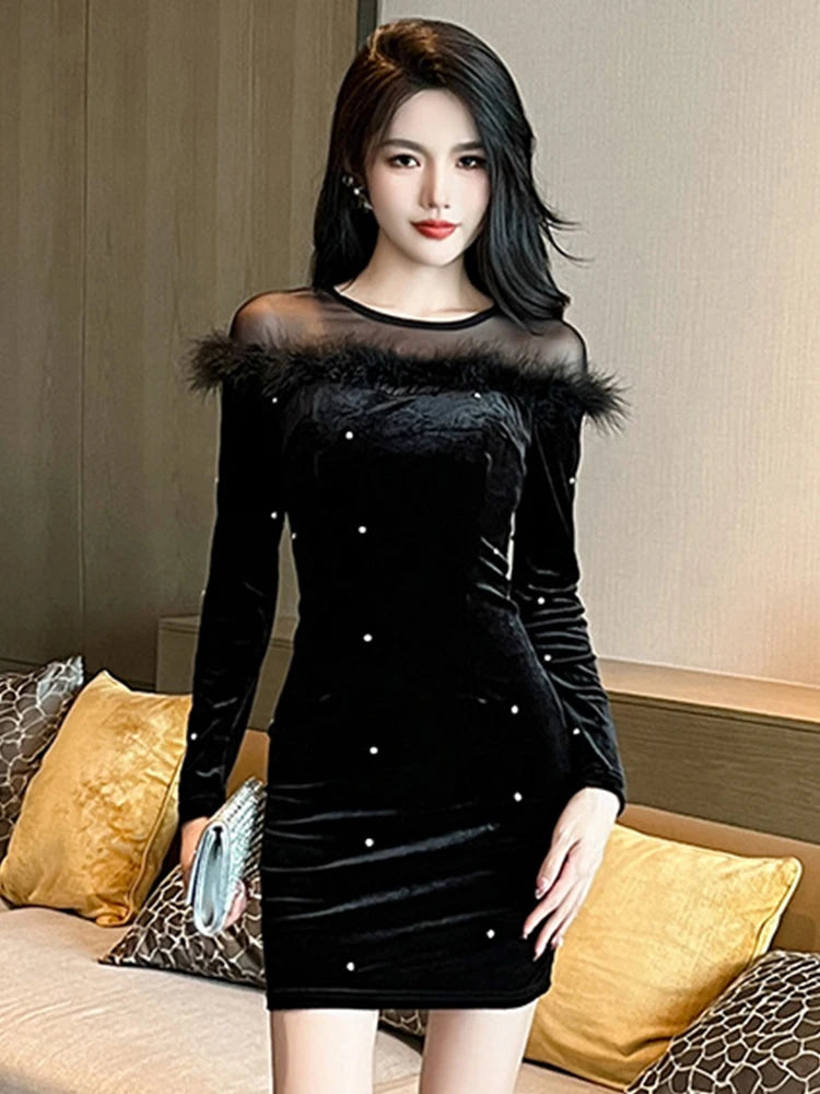 Velvet Dress With Sheer Sleeves And Feathers on Luulla